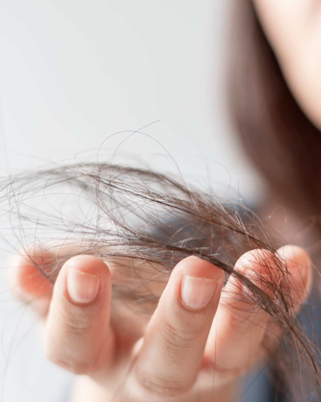Hair Growth + Hair Thinning