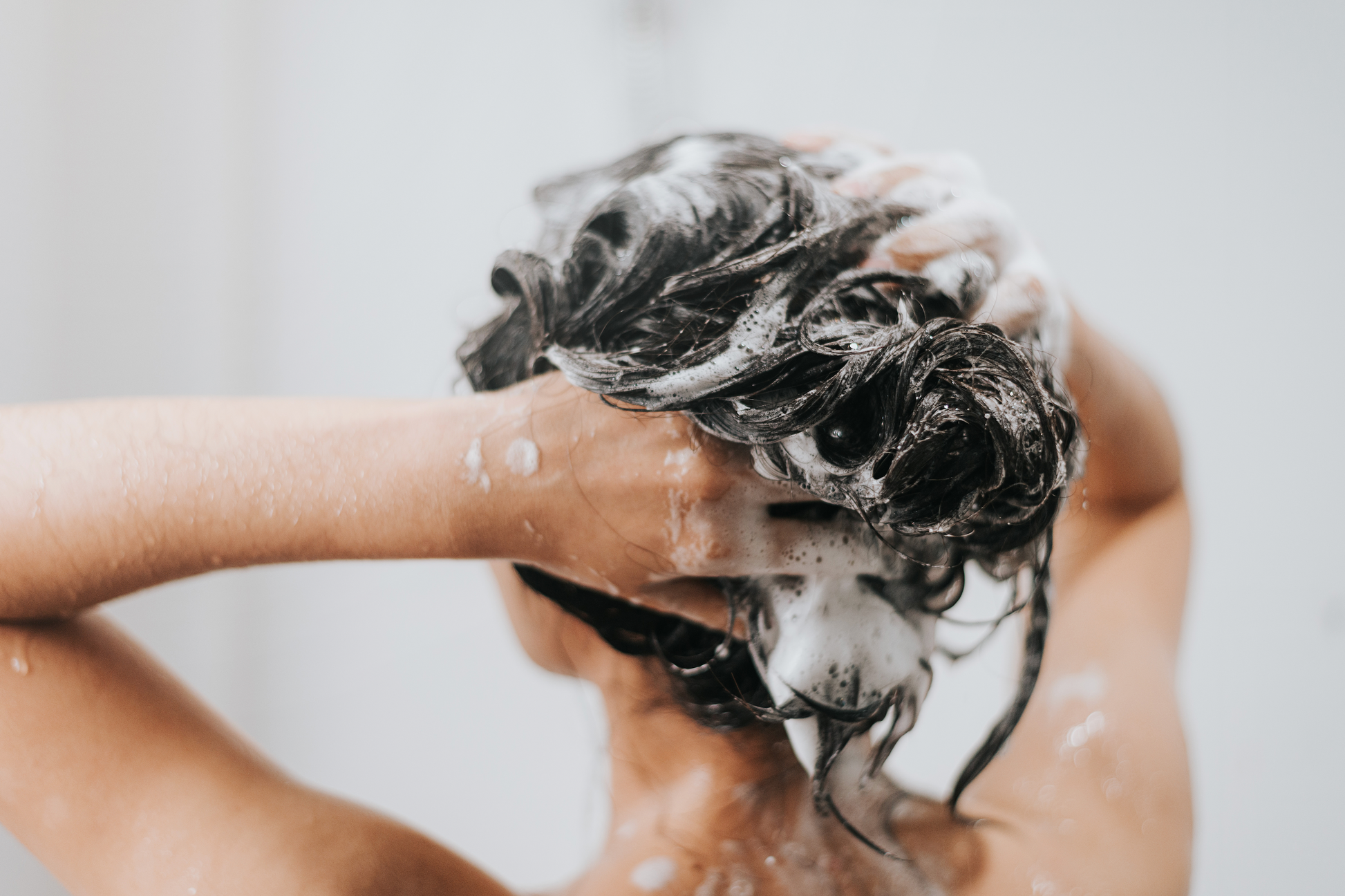 PURIFY SHAMPOO No.11