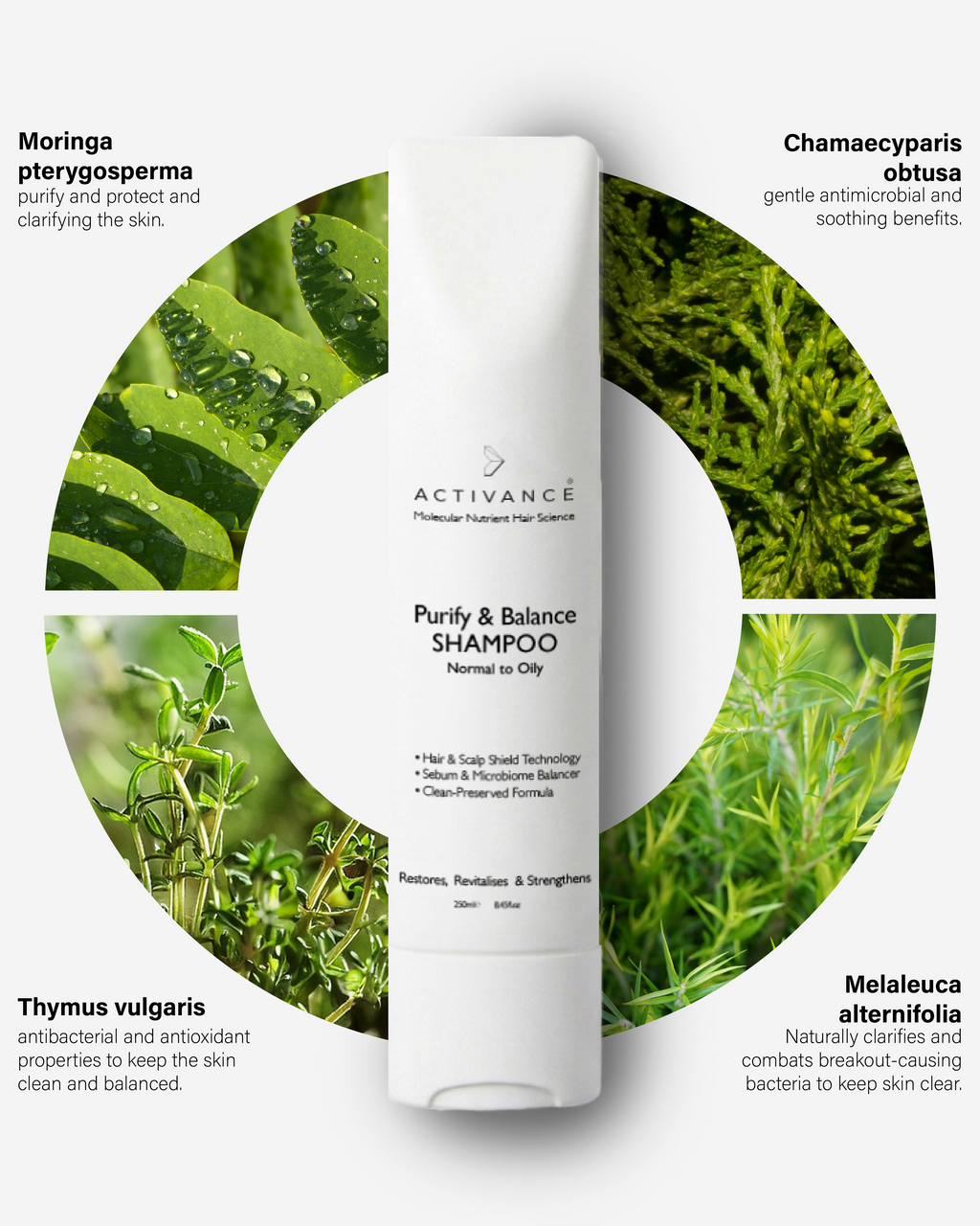 Purify & Balance Shampoo