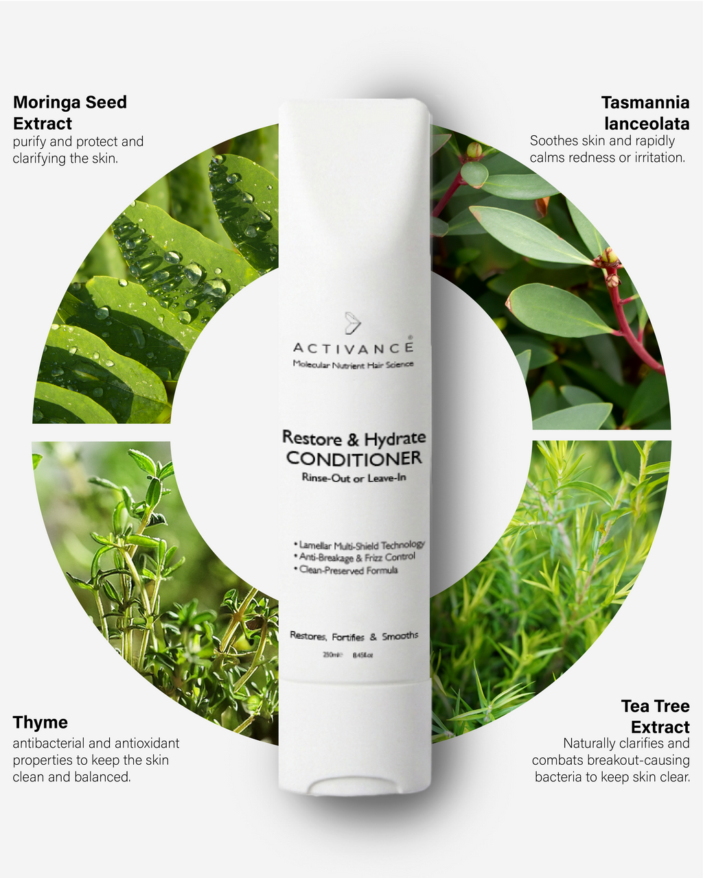 Restore & Hydrate Conditioner