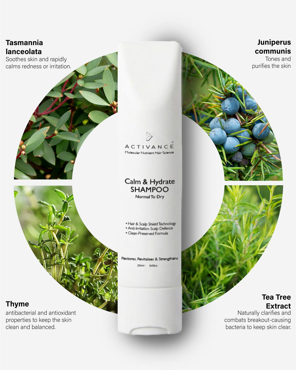 Calm & Hydrate Shampoo